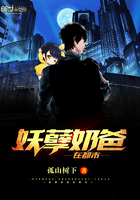 仙尊奶爸叶辰